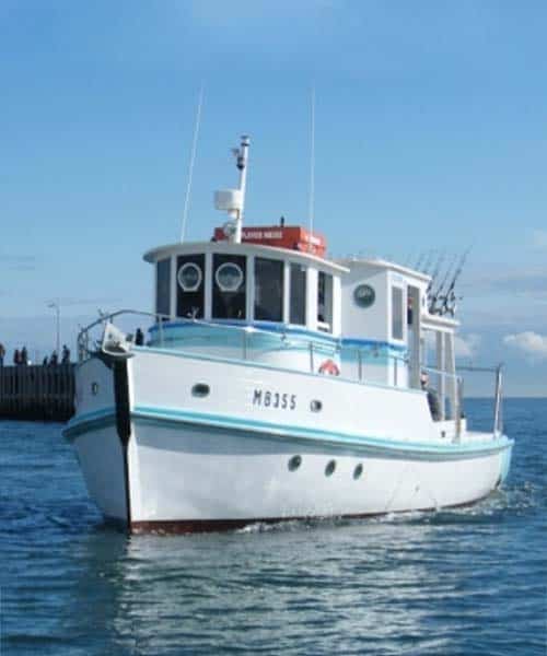 Bay Fish n trips fishing Charter vessel MV Plover